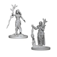 Dungeons & Dragons Nolzurs Marvelous Unpainted Miniatures Female Human Druid