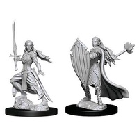 Dungeons & Dragons Nolzurs Marvelous Unpainted Miniatures Female Elf Paladin