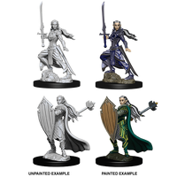 Dungeons & Dragons Nolzurs Marvelous Unpainted Miniatures Female Elf Paladin