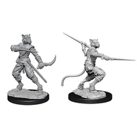 Dungeons & Dragons Nolzurs Marvelous Unpainted Miniatures Female Tabaxi Rogue