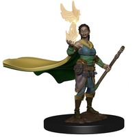 Dungeons & Dragons Premium Figures Elf Female Druid