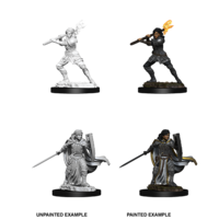 Dungeons & Dragons Nolzurs Marvelous Unpainted Miniatures Female Human Paladin