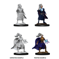 Dungeons & Dragons Nolzurs Marvelous Unpainted Miniatures Female Human Sorcerer