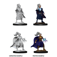 Dungeons & Dragons Nolzurs Marvelous Unpainted Miniatures Female Human Sorcerer
