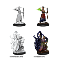 Dungeons & Dragons Nolzurs Marvelous Unpainted Miniatures Female Human Warlock