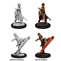 Dungeons & Dragons Nolzurs Marvelous Unpainted Miniatures Male Half-Elf Monk