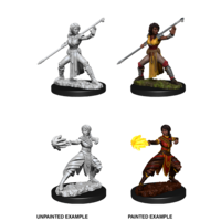 Dungeons & Dragons Nolzurs Marvelous Unpainted Miniatures Female Half-Elf Monk