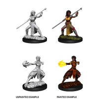 Dungeons & Dragons Nolzurs Marvelous Unpainted Miniatures Female Half-Elf Monk