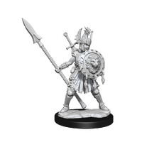 Dungeons & Dragons Frameworks Human Fighter Female