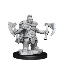 Dungeons & Dragons Frameworks Dwarf Barbarian Female