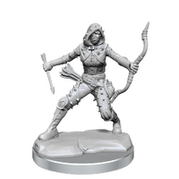 Dungeons & Dragons Frameworks Human Rogue Female