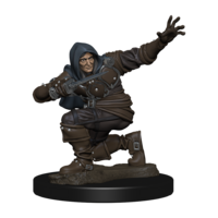 Pathfinder Battles Premium Painted Figure Human Rogue Male