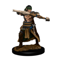 Pathfinder Battles Premium Painted Figure Half-Elf Ranger Male