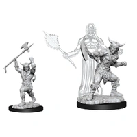 Dungeons & Dragons Nolzurs Marvelous Unpainted Miniatures Male Human Barbarian