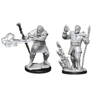 Dungeons & Dragons Nolzurs Marvelous Unpainted Miniatures Male Firbolg Druid