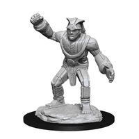 Dungeons & Dragons Nolzurs Marvelous Unpainted Miniatures Stone Golem