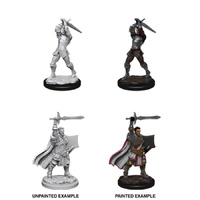 Dungeons & Dragons Nolzurs Marvelous Unpainted Miniatures Male Human Paladin
