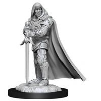 Dungeons & Dragons Nolzurs Marvelous Unpainted Miniatures Human Male Paladin
