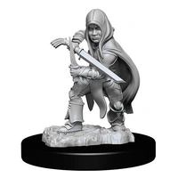 Dungeons & Dragons Nolzurs Marvelous Unpainted Miniatures Halfling Rogue Male