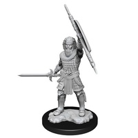 Dungeons & Dragons Nolzurs Marvelous Unpainted Miniatures Human Male Fighter