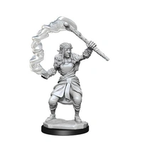 Dungeons & Dragons Nolzurs Marvelous Unpainted Miniatures Firbolg Female Druid