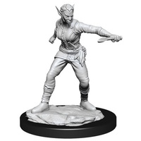 Dungeons & Dragons Nolzurs Marvelous Unpainted Miniatures Shifter Female Rogue