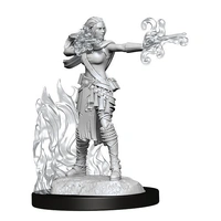 Dungeons & Dragons Nolzurs Marvelous Unpainted Miniatures Female Multiclass Warlock + Sorcerer