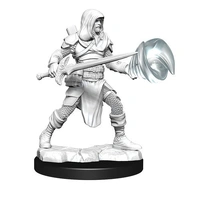 Dungeons & Dragons Nolzurs Marvelous Unpainted Miniatures Male Multiclass Fighter + Wizard