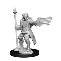 Dungeons & Dragons Nolzurs Marvelous Unpainted Miniatures Male Multiclass Cleric + Wizard