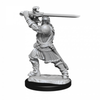 Dungeons & Dragons Nolzurs Marvelous Unpainted Miniatures Human Paladin Male