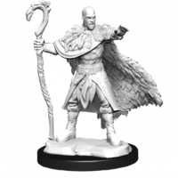Dungeons & Dragons Nolzurs Marvelous Unpainted Miniatures Human Druid Male