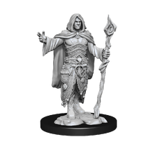 Dungeons & Dragons Nolzurs Marvelous Unpainted Miniatures Human Druid Male