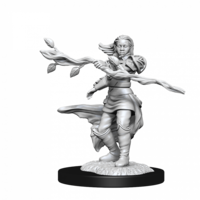 Dungeons & Dragons Nolzurs Marvelous Unpainted Miniatures Human Druid Female
