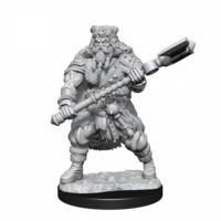 Dungeons & Dragons Nolzurs Marvelous Unpainted Miniatures Human Barbarian Male
