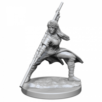 Dungeons & Dragons Nolzurs Marvelous Unpainted Miniatures Human Monk Female