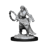 Dungeons & Dragons Nolzurs Marvelous Unpainted Miniatures Human Monk Female