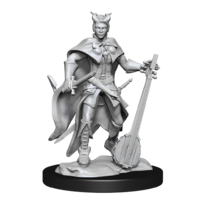 Dungeons & Dragons Nolzurs Marvelous Unpainted Miniatures Tiefling Bard Female