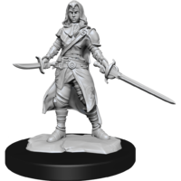 Dungeons & Dragons Nolzurs Marvelous Unpainted Miniatures Half-Elf Rogue Female