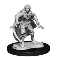 Dungeons & Dragons Nolzurs Marvelous Unpainted Miniatures Half-Elf Rogue Female