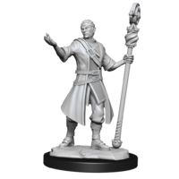 Dungeons & Dragons Nolzurs Marvelous Unpainted Miniatures Half-Elf Wizard Male