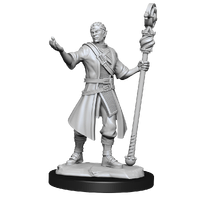 Dungeons & Dragons Nolzurs Marvelous Unpainted Miniatures Half-Elf Wizard Male