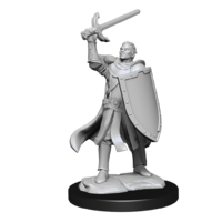 Dungeons & Dragons Nolzurs Marvelous Unpainted Miniatures Half-Elf Paladin Male