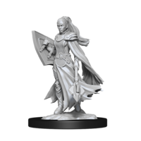 Dungeons & Dragons Nolzurs Marvelous Unpainted Miniatures Kalashtar Cleric Female