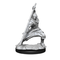 Dungeons & Dragons Nolzurs Marvelous Unpainted Miniatures Warforged Monk