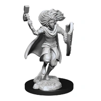 Dungeons & Dragons Nolzurs Marvelous Unpainted Miniatures Changeling Cleric