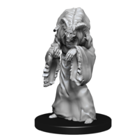 Dungeons & Dragons Nolzurs Marvelous Unpainted Miniatures Night Hag & Dusk Hag