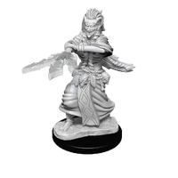 Dungeons & Dragons Nolzurs Marvelous Unpainted Miniatures Night Hag & Dusk Hag