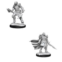 Dungeons & Dragons Nolzurs Marvelous Unpainted Miniatures Dragonborn Fighter Female
