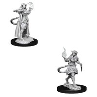 Dungeons & Dragons Nolzurs Marvelous Unpainted Miniatures Tiefling Sorcerer Female