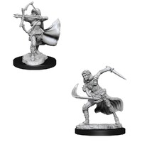 Dungeons & Dragons Nolzurs Marvelous Unpainted Miniatures Air Genasi Female